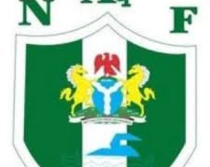 Nigeria Aquatics Federation Names Committees for 2025–2029 Board Cycle