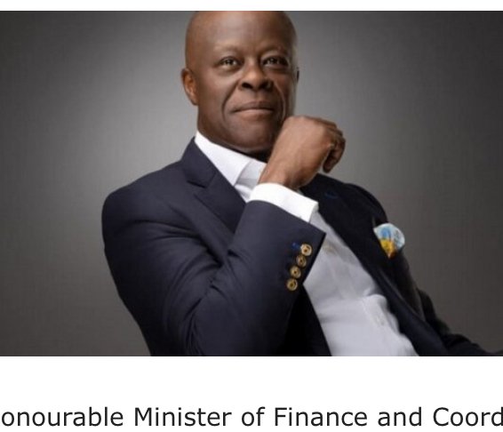 Finance Minister , Wale Edun elected President,Nigerian boxing Federation